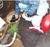 トーラーによる配水管内異物除去作業